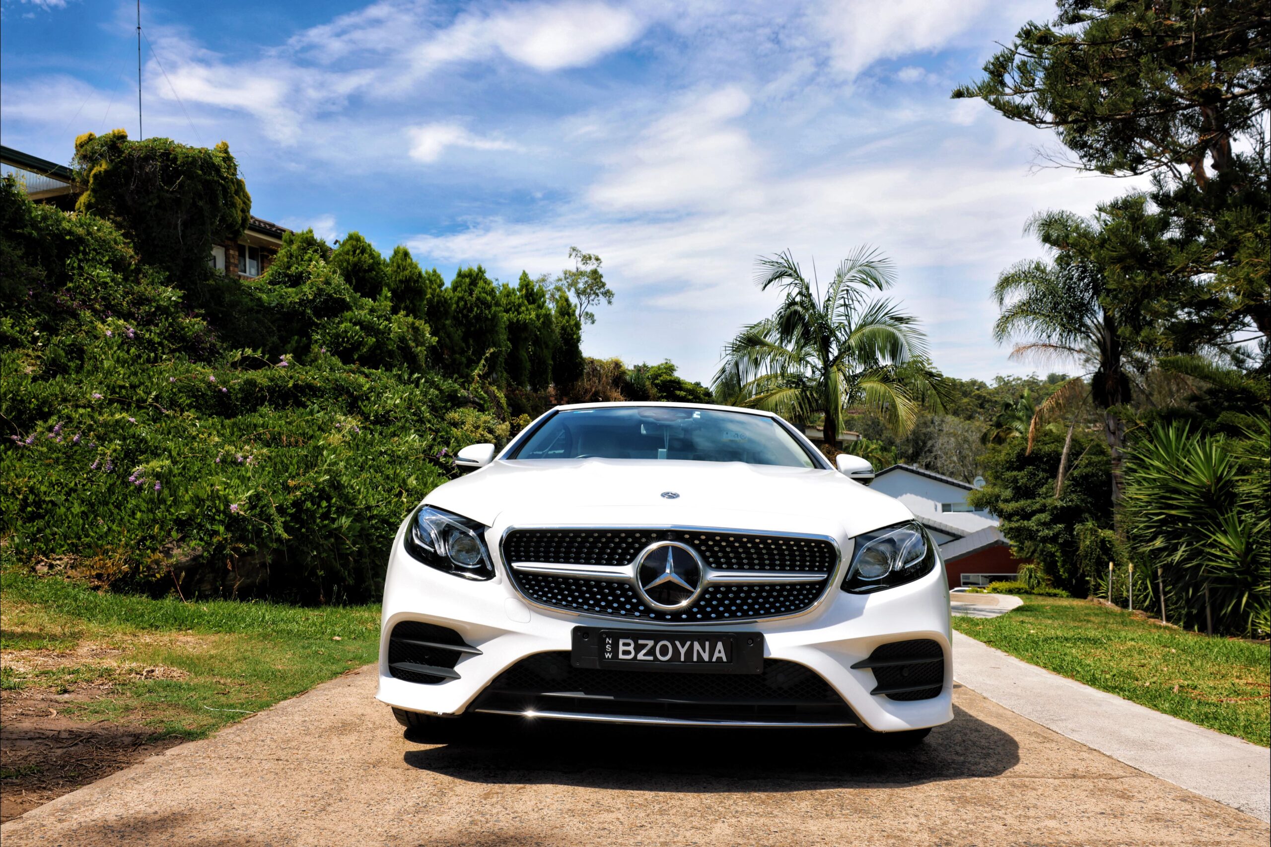 WhatsApp Image at .. AM