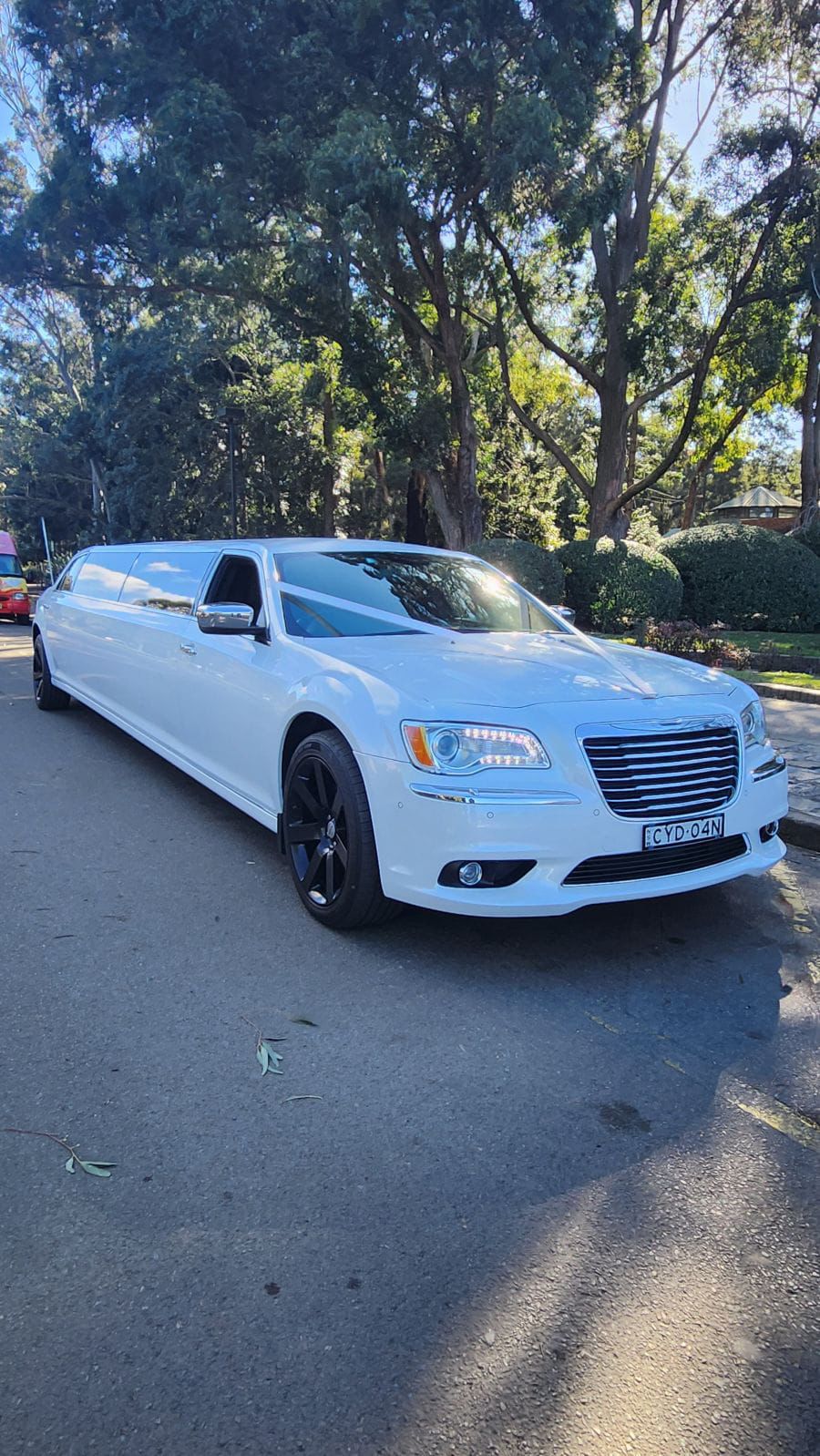 WhatsApp Image at .. PM