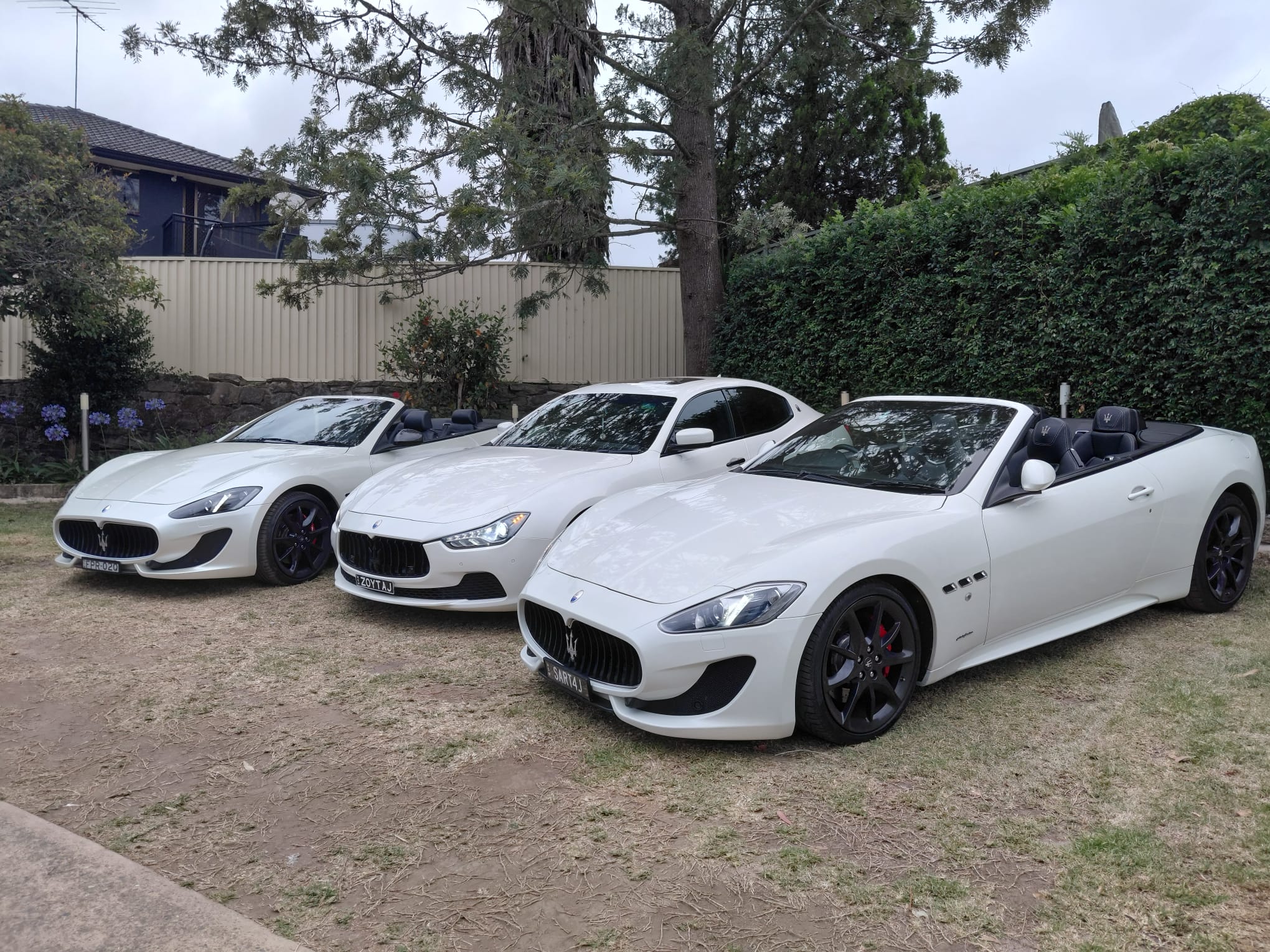 WhatsApp Image at .. AM