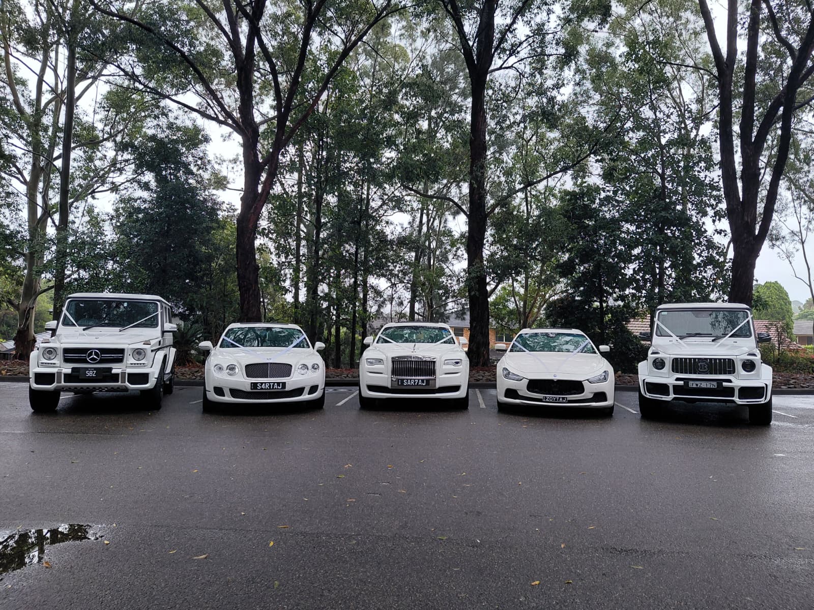 WhatsApp Image at .. AM