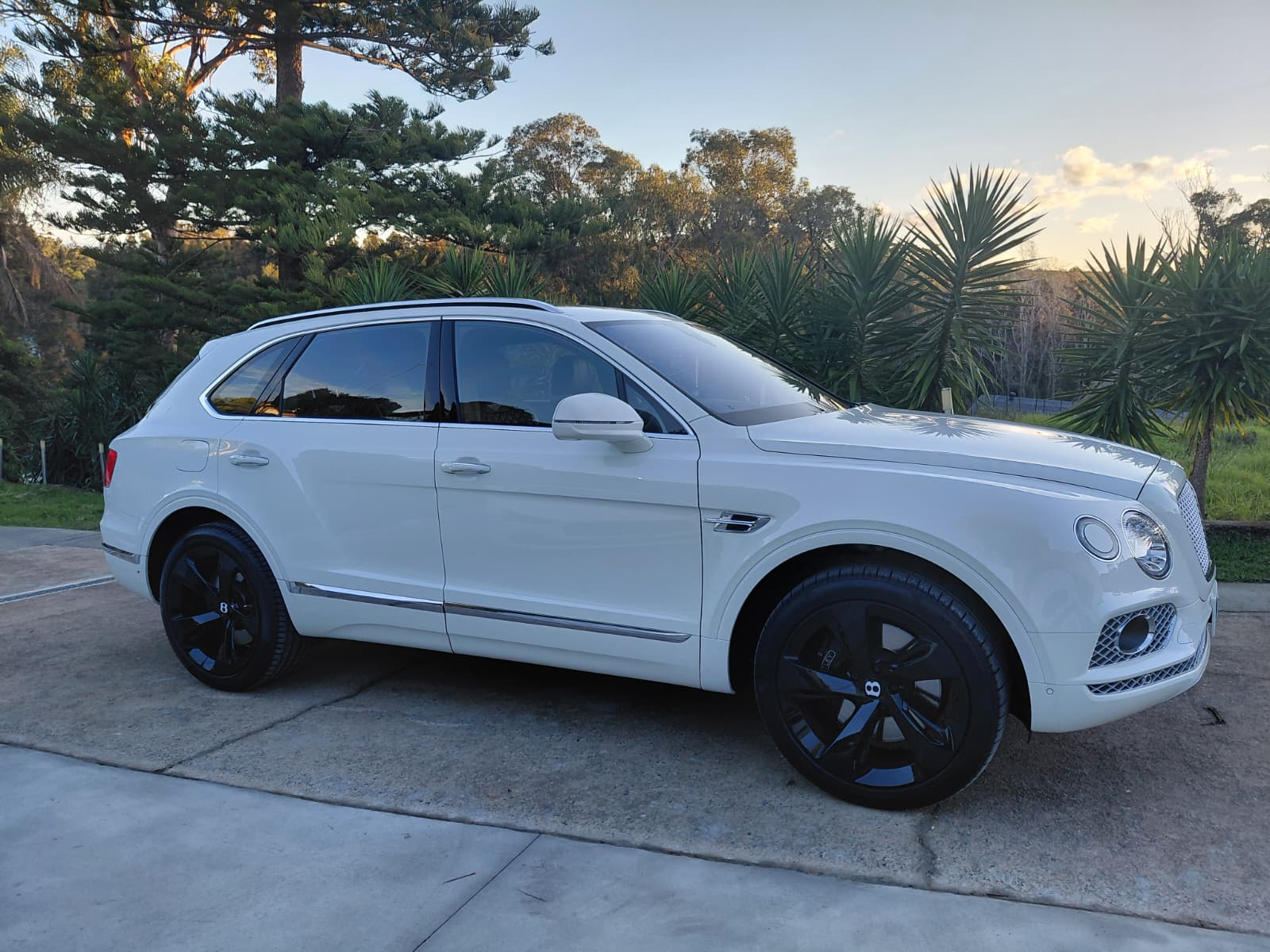 Bentley bentayga